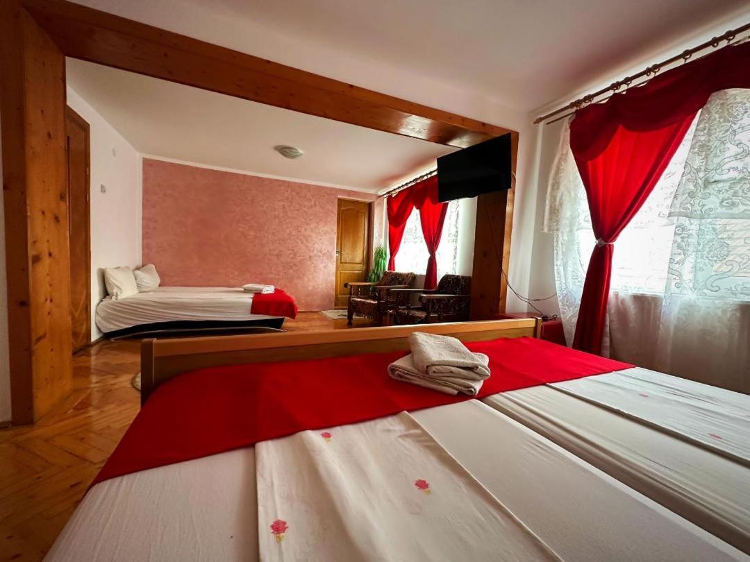 Casa Mary Hotel Haţeg Exterior foto